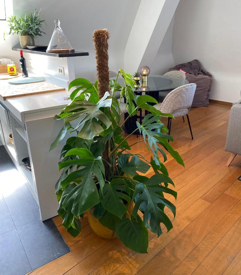 Appartement ‘t Zèèmanskot à Ostende Extérieur photo